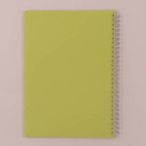 دفتر زبان 2 خط 100 برگ جلد طلقی پاپکو کد NB-604